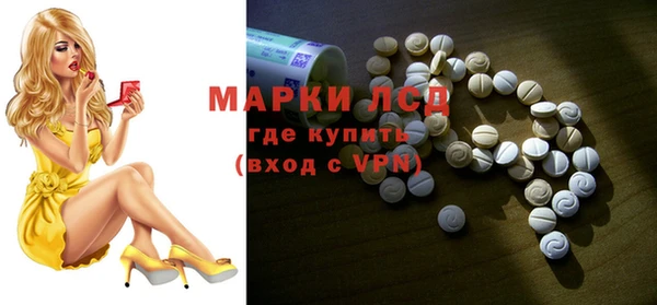 стаф Белокуриха