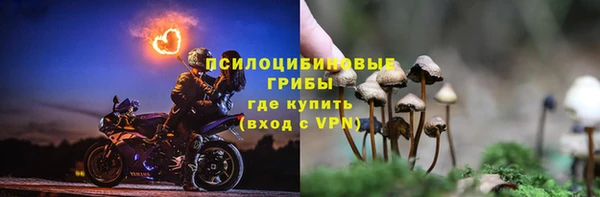 стаф Белокуриха