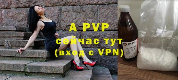 стаф Белоозёрский