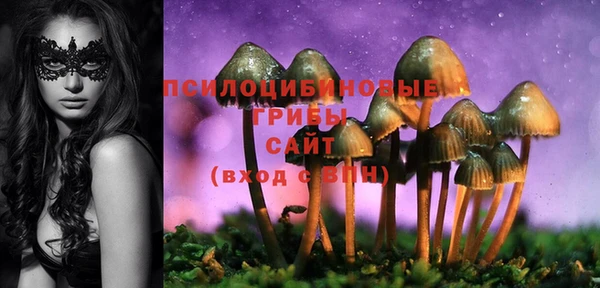 стаф Белоозёрский